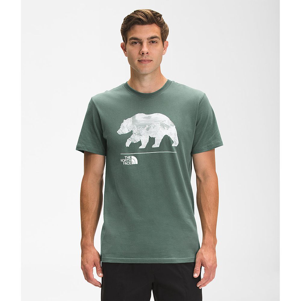 The North Face T-Shirts Mens Australia - The North Face Bearscape Short Sleeve Green (NIJ-672359)